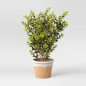 20” Faux Boxwood in Terracotta Pot Green - Threshold Studio McGee - Target 2022